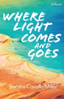 Where Light Comes and Goes : A Novel