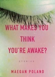 What Makes You Think You're Awake?