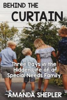 Behind the Curtain : Three Days in the Hidden Life of a Special Needs Family