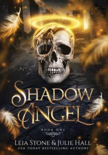 Shadow Angel : Book One