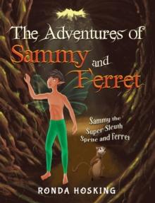 The Adventures of Sammy and Ferret