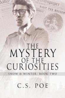 Mystery of the Curiosities : Snow & Winter, #2