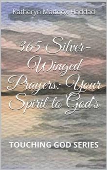 365 Silver-Winged Prayers : Your Spirit to God's