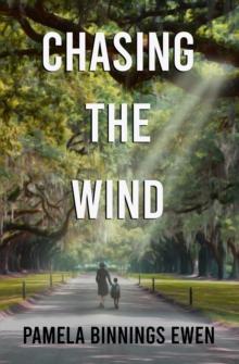 Chasing the Wind