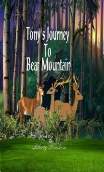 Tony's Journey To Bear Mountain