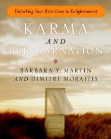 Karma and Reincarnation : Unlocking Your 800 Lives to Enlightenment