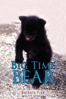 Big Time Bear