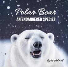 Polar Bear : An endangered species