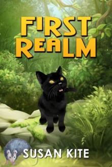 First Realm