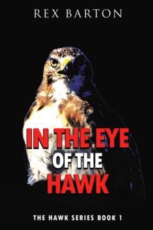 In The Eye Of The Hawk : The Hawk Series Book 1