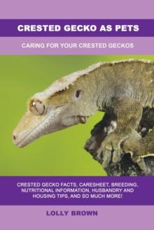 Crested Gecko as Pets