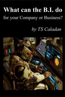 What can the B.I. do for your Company or Business