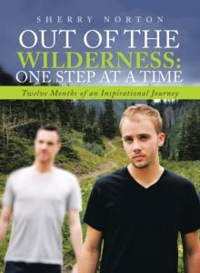 Out of the Wilderness:One Step at a Time : Twelve Months of an Inspirational Journey