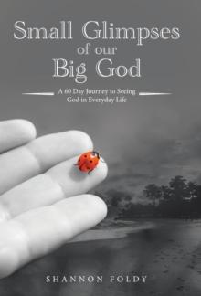 Small Glimpses of Our Big God : A 60 Day Journey to Seeing God in Everyday Life