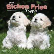 Bichon Frise Puppies 2025 Square Wrap