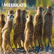 Meerkats 2025 Square Wrap