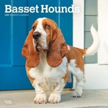 Basset Hounds 2025 Square Wrap