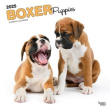 Boxer Puppies 2025 Square Wrap