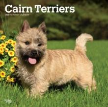 Cairn Terriers 2025 Square Wrap