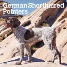 German Shorthaired Pointers 2025 Square