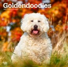 Goldendoodles 2025 Square Wrap