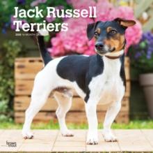 Jack Russell Terriers 2025 Square Wrap