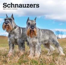 Schnauzers 2025 Square Wrap