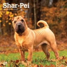 Shar Pei 2025 Square Wrap