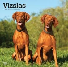 Vizslas 2025 Square Wrap