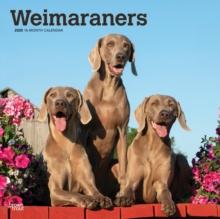 Weimaraners 2025 Square Wrap