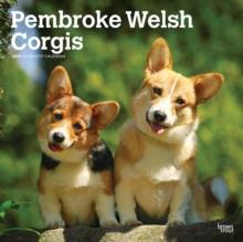 Welsh Corgis Pembroke 2025 Square Wrap