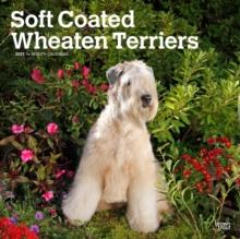 Wheaten Terriers Soft Coated 2025 Square