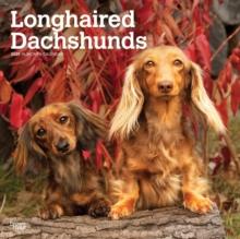 Dachshunds Longhaired 2025 Square Wrap