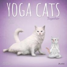 Yoga Cats 2025 16Month Calendar