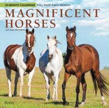 Magnificent Horses Jul24Dec25 Square Wra