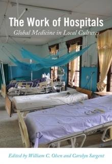 The Work of Hospitals : Global Medicine in Local Cultures