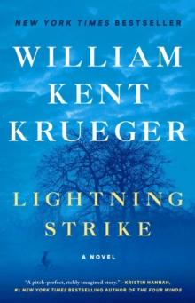 Lightning Strike : A Novel