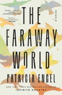 The Faraway World : Stories