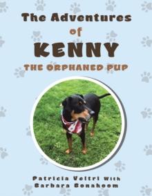 The Adventures of Kenny the Orphaned Pup