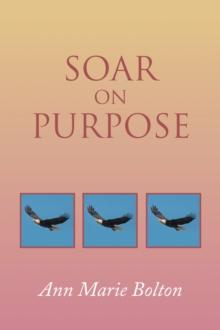 Soar on Purpose