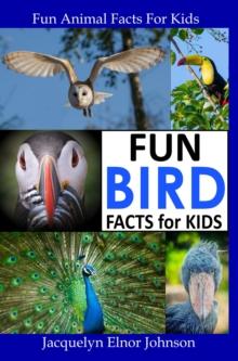 Fun Bird Facts for Kids