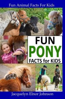 Fun Pony Facts for Kids