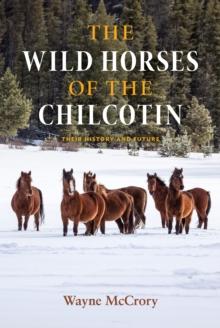 The Wild Horses of the Chilcotin : Their History and Future