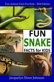 Fun Snake Facts for Kids