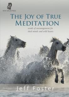 The joy of True Meditation : Words of Encouragement for Tired Minds and Wild Hearts