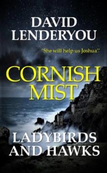 Cornish Mist 3: Ladybirds & Hawks