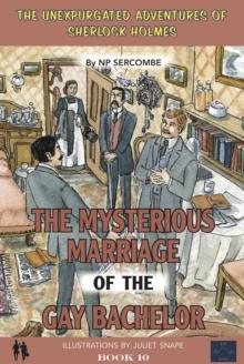 The Mysterious Marriage of the Gay Bachelor