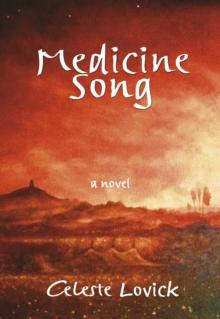 Medicine Song : a novel