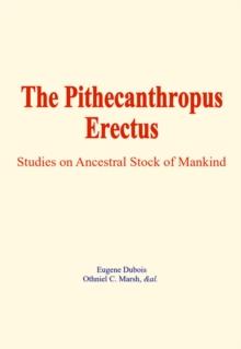 The Pithecanthropus Erectus : Studies on Ancestral Stock of Mankind