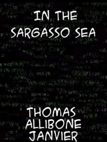 In the Sargasso Sea A Novel